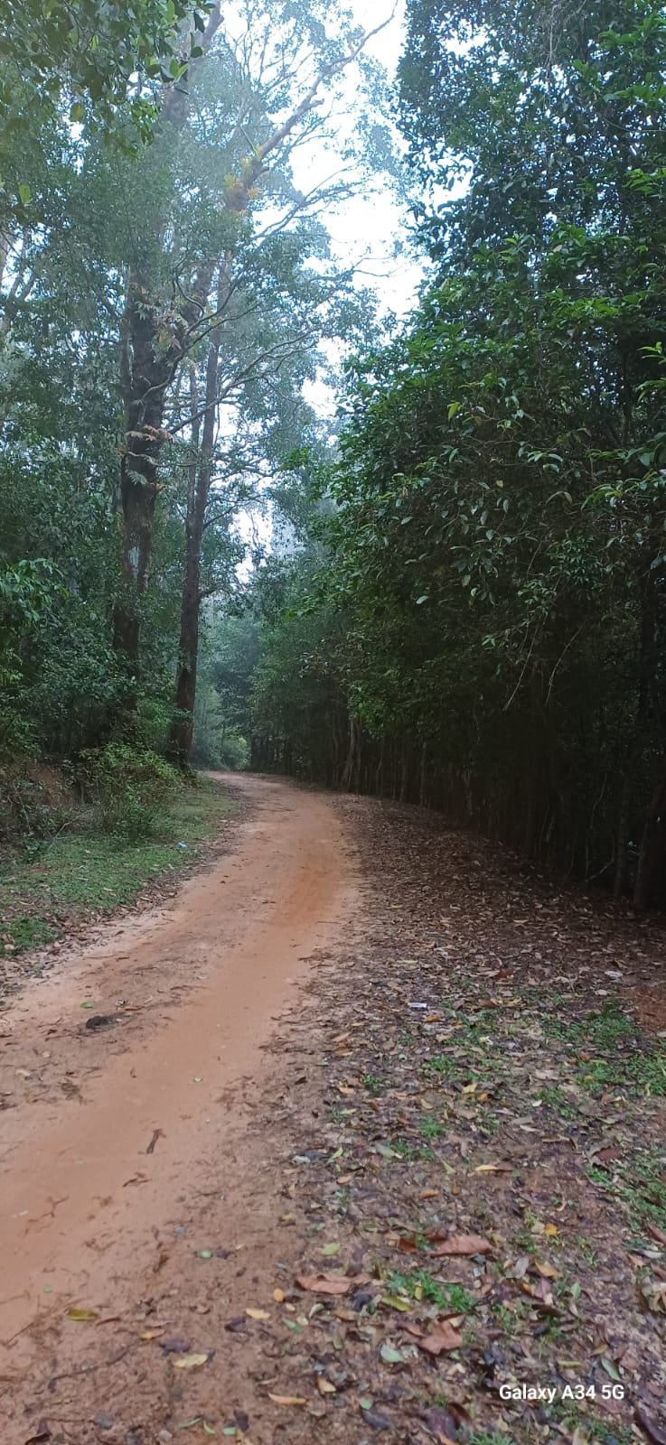 Gallery Image 14